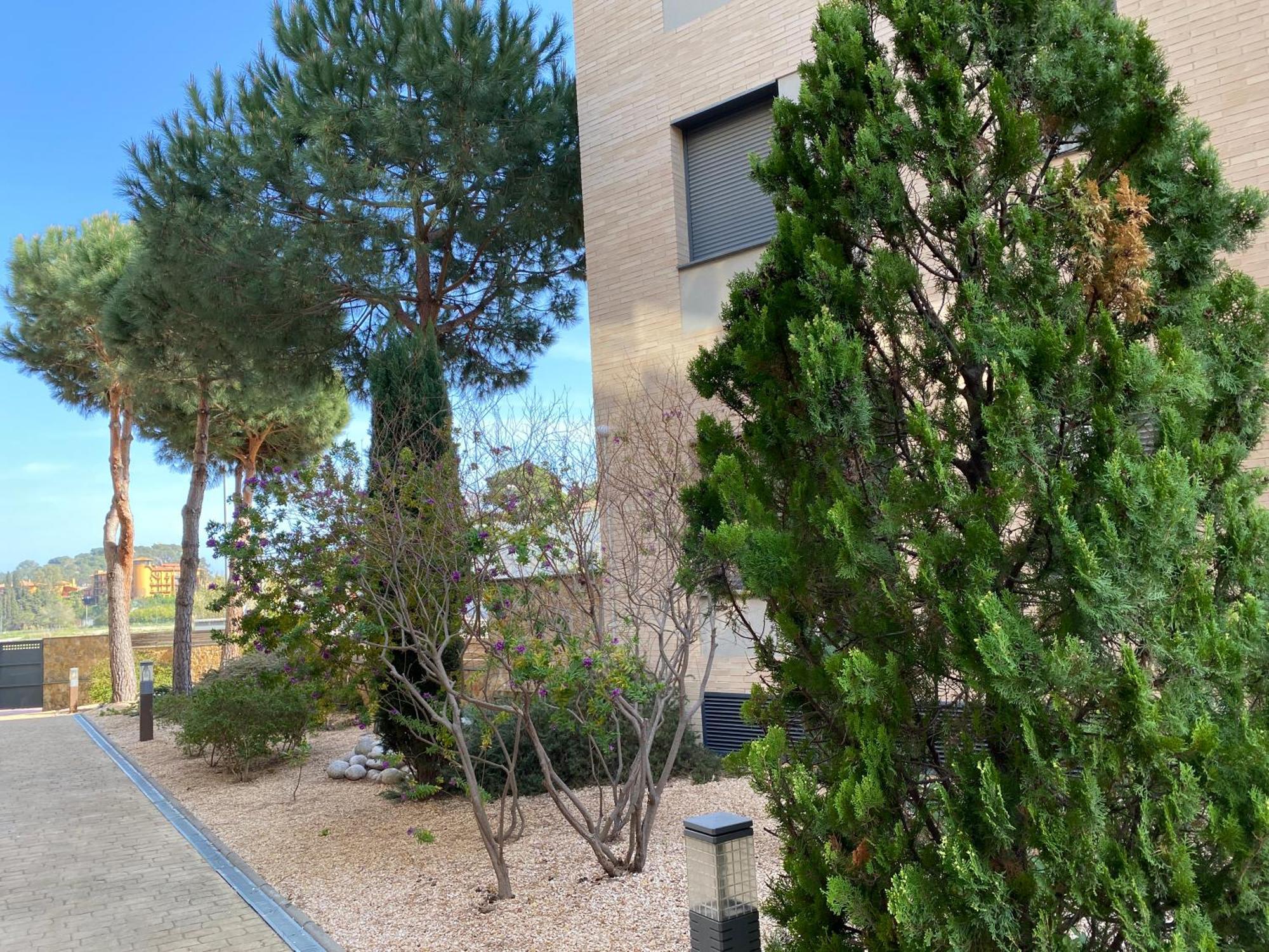 Apartment Fenals